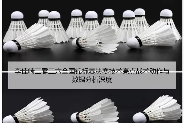 李佳崎二零二六全国锦标赛决赛技术亮点战术动作与数据分析深度