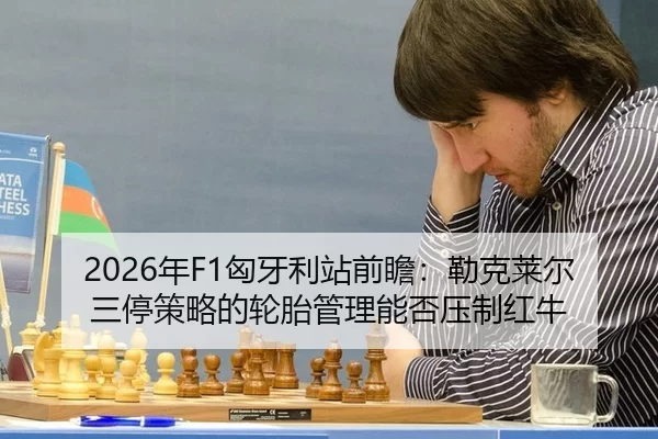 nian-xiong-ya-li-zhan-qian-zhan-lei-ke-lai-er-san-ting-ce-lve-de-lun-tai-guan-li-neng-fou-ya-zhi-hong-niu-3-599.jpg